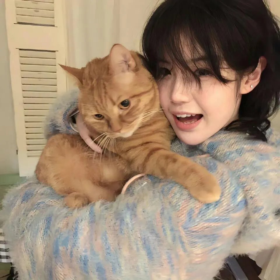 云海玉弓缘国语